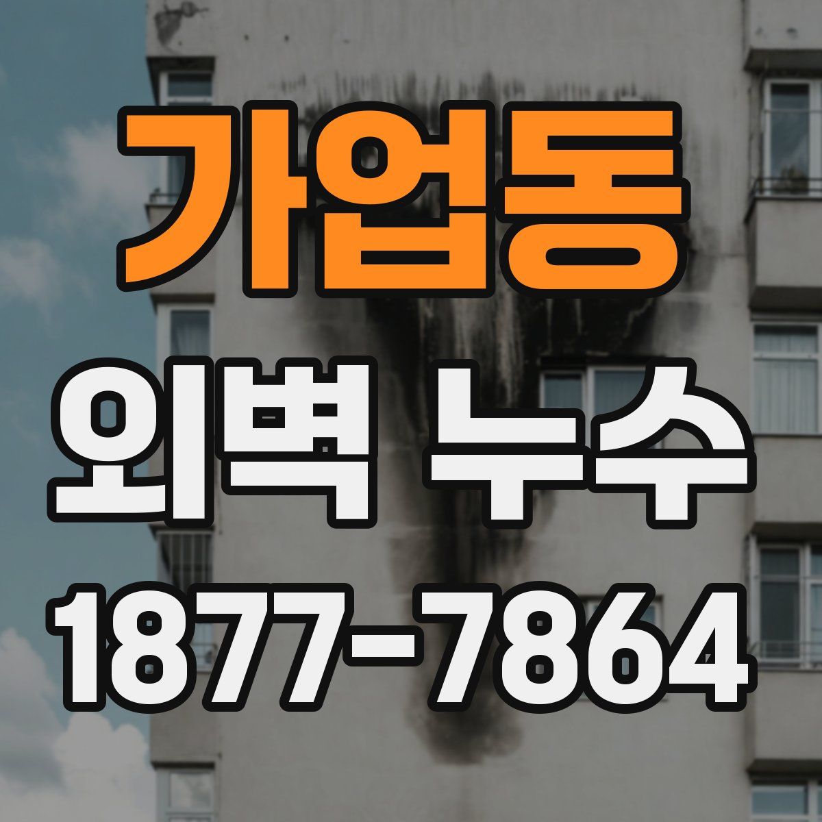 가업동 외벽 누수