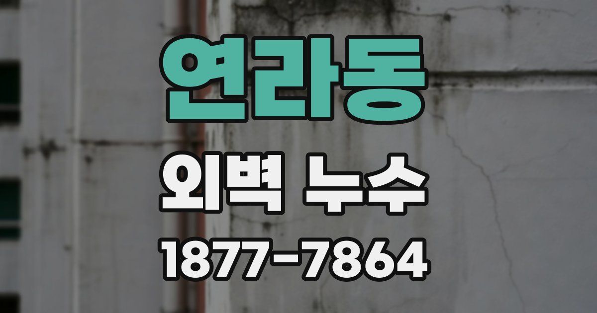 연라동 외벽 누수
