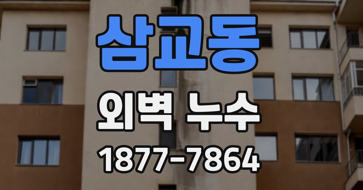 삼교동 외벽 누수