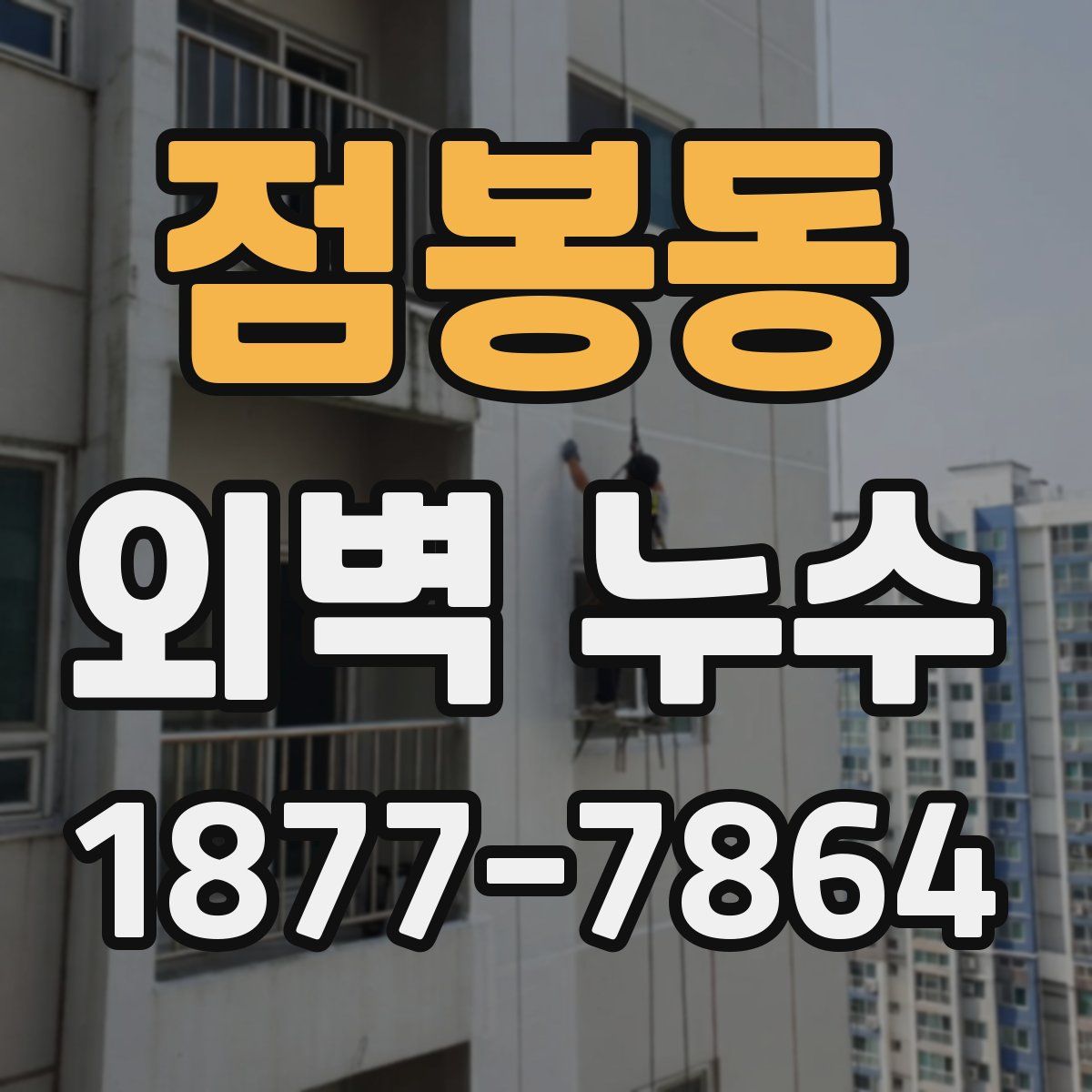 점봉동 외벽 누수