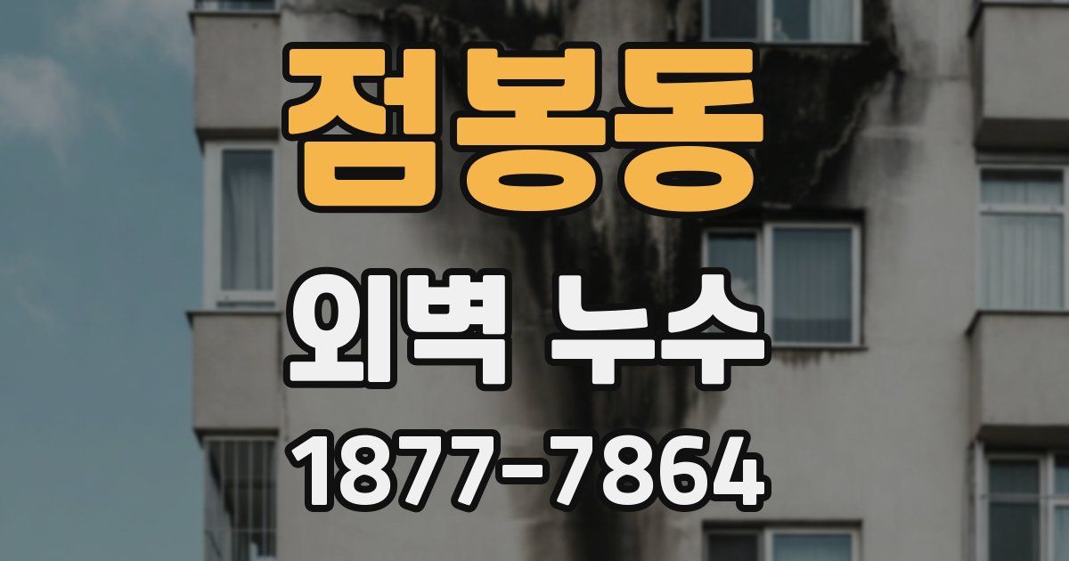 점봉동 외벽 누수