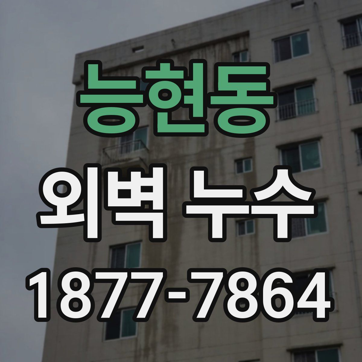 능현동 외벽 누수