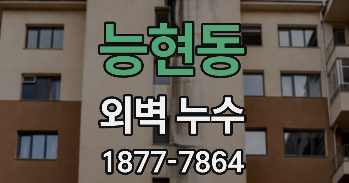 능현동 외벽 누수