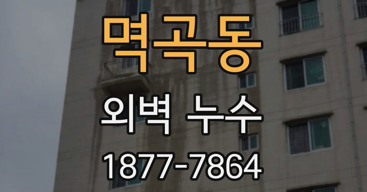 멱곡동 외벽 누수