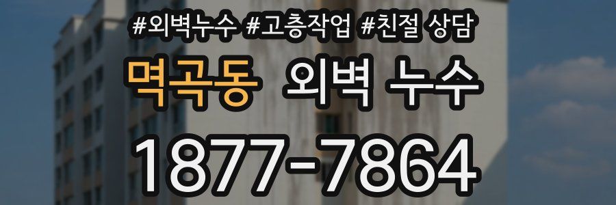 멱곡동 외벽 누수