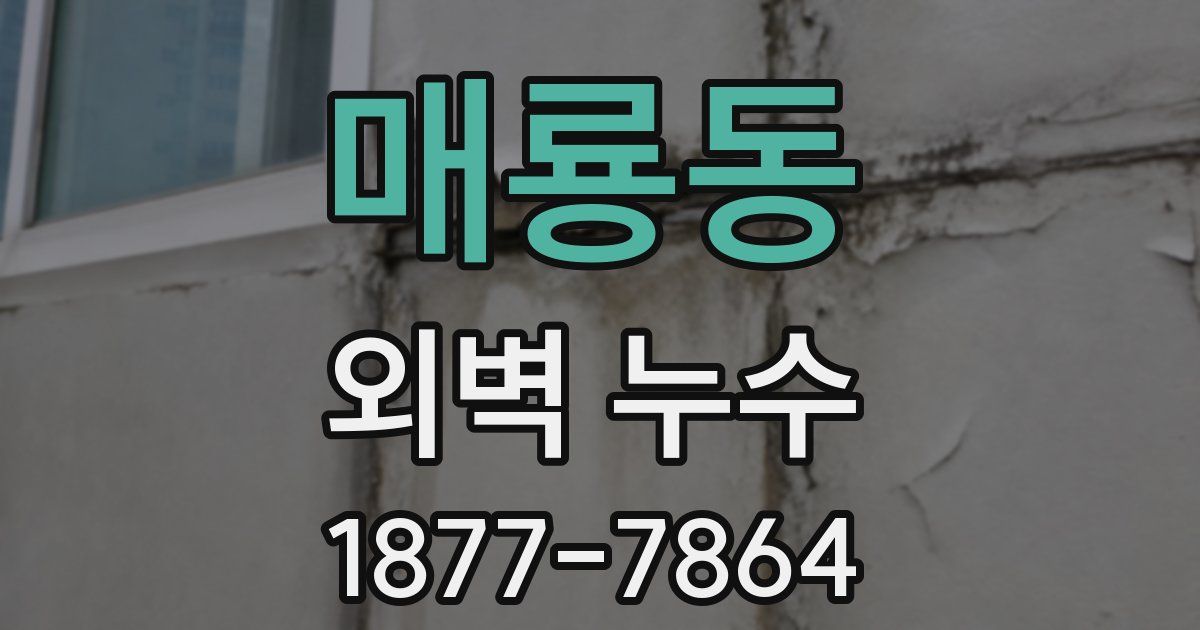 매룡동 외벽 누수