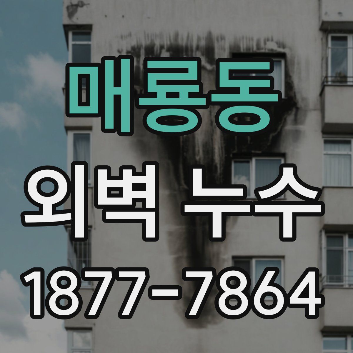 매룡동 외벽 누수