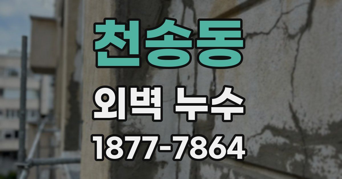 천송동 외벽 누수
