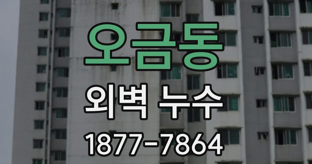 오금동 외벽 누수