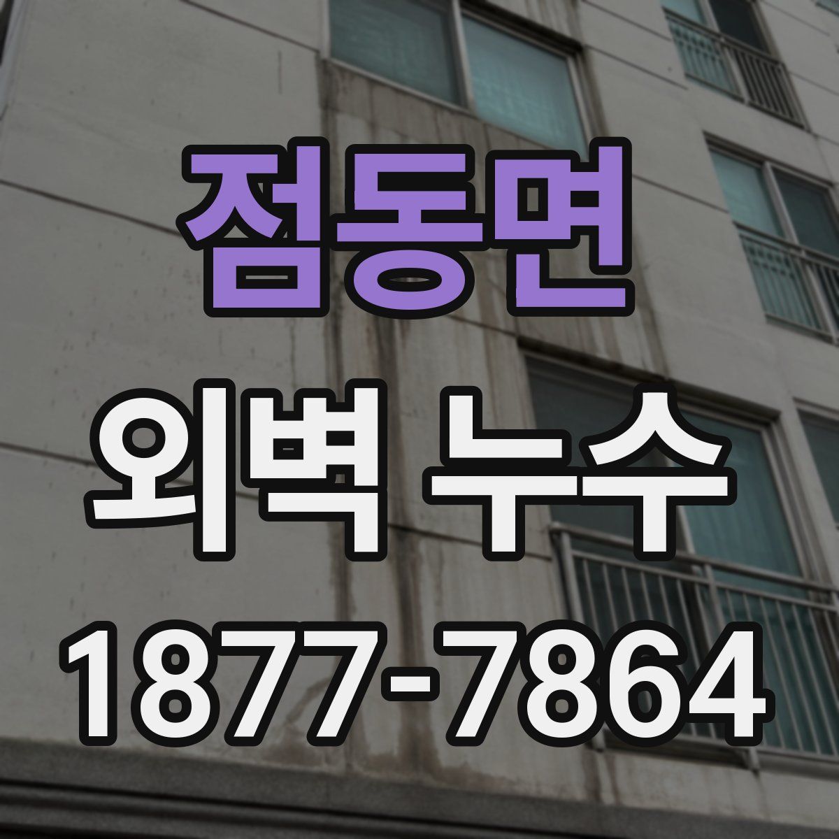 점동면 외벽 누수