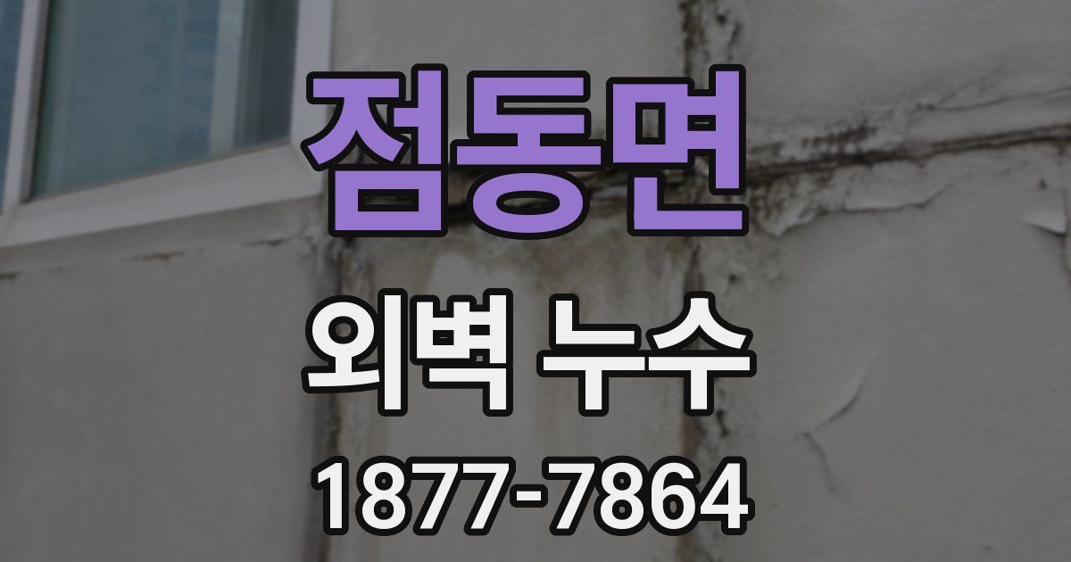 점동면 외벽 누수