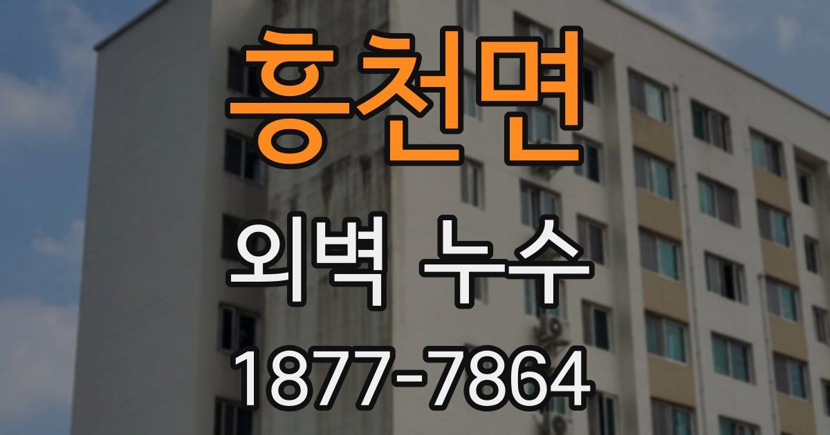 흥천면 외벽 누수