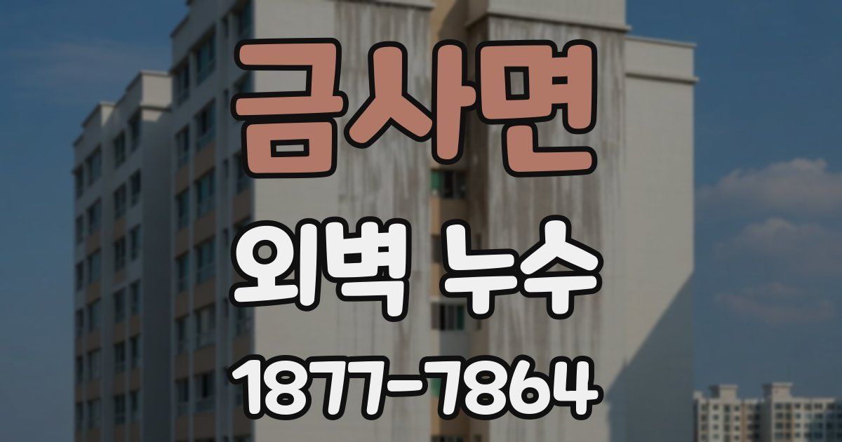 금사면 외벽 누수