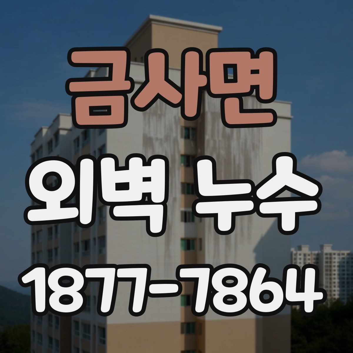 금사면 외벽 누수