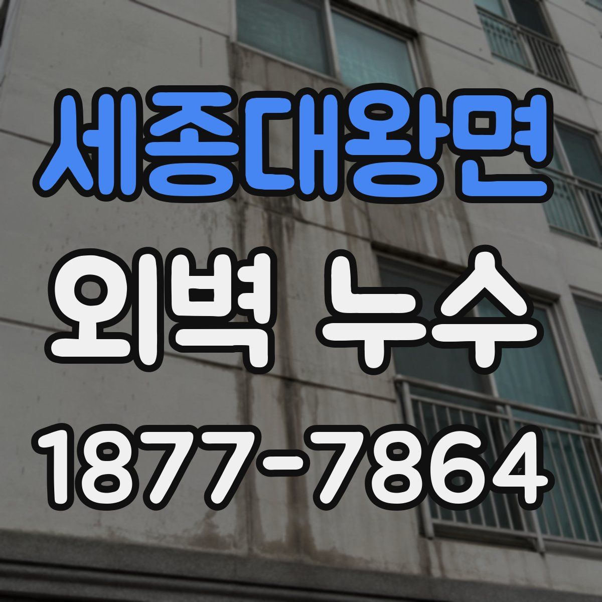 세종대왕면 외벽 누수