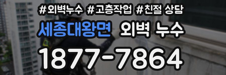 세종대왕면 외벽 누수