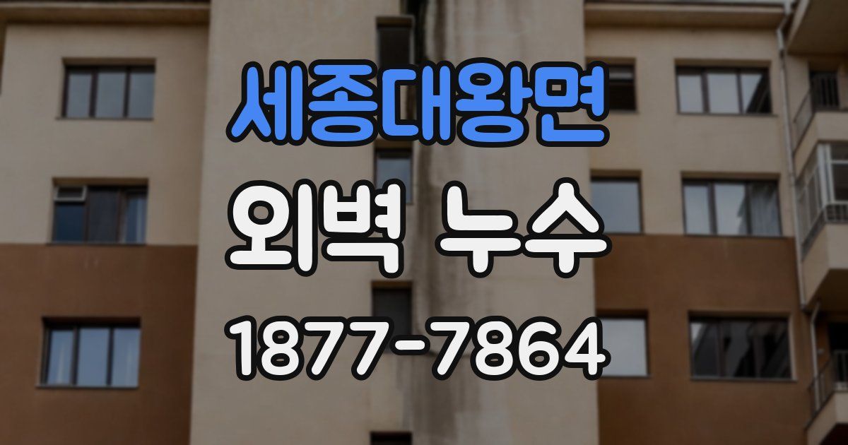 세종대왕면 외벽 누수