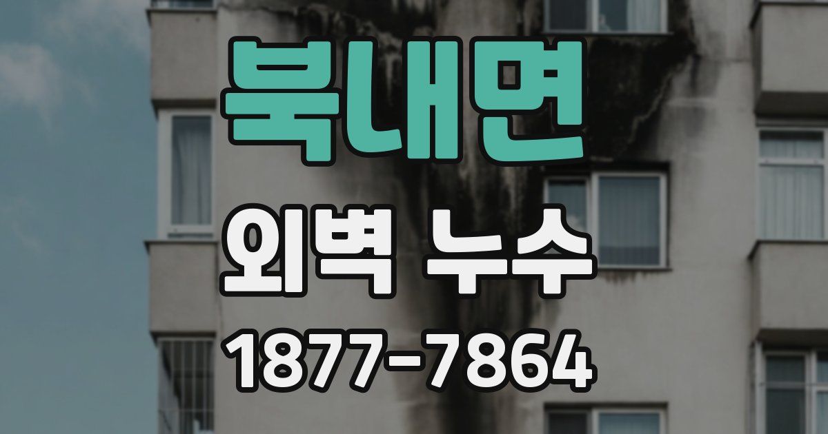 북내면 외벽 누수