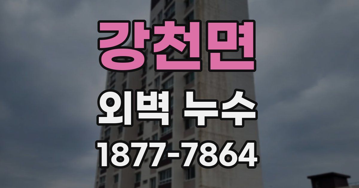 강천면 외벽 누수