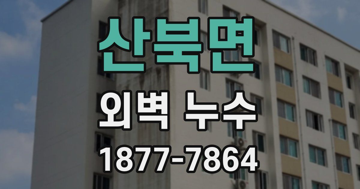 산북면 외벽 누수