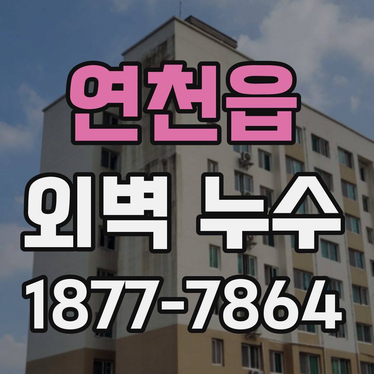연천읍 외벽 누수