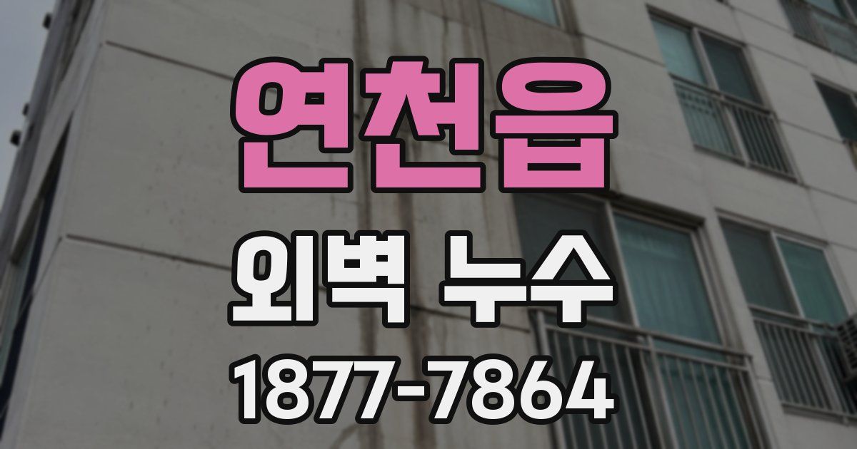 연천읍 외벽 누수
