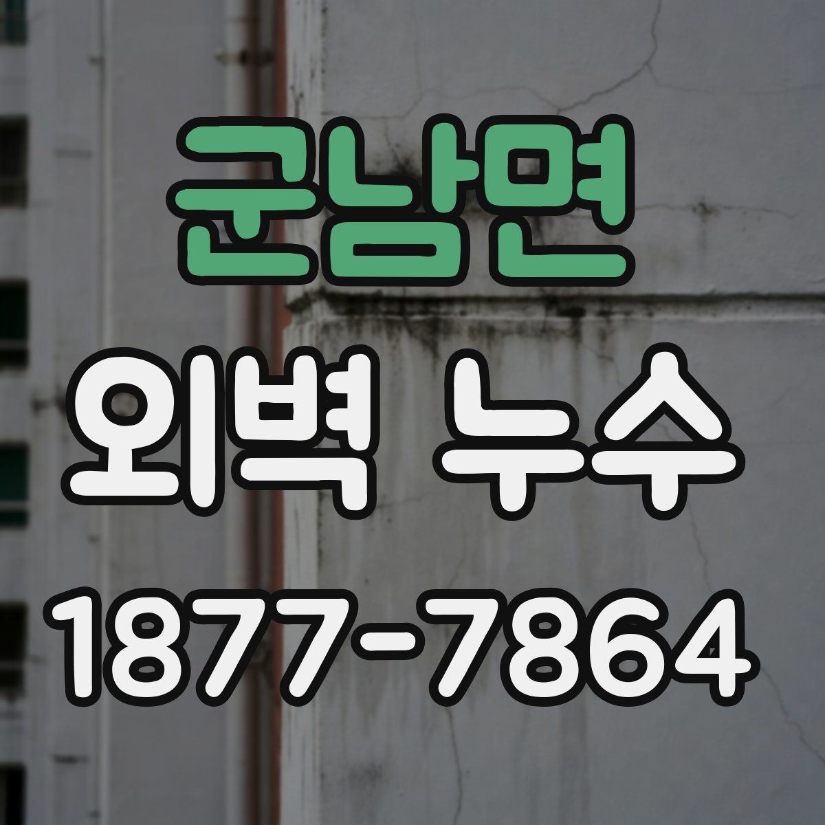 군남면 외벽 누수