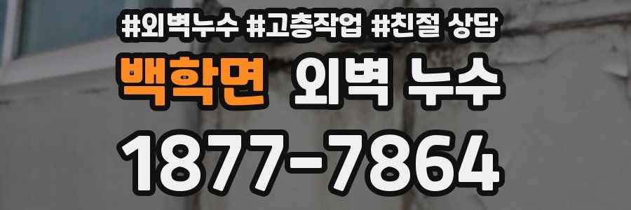 백학면 외벽 누수