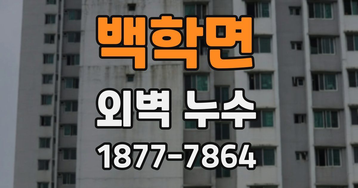 백학면 외벽 누수