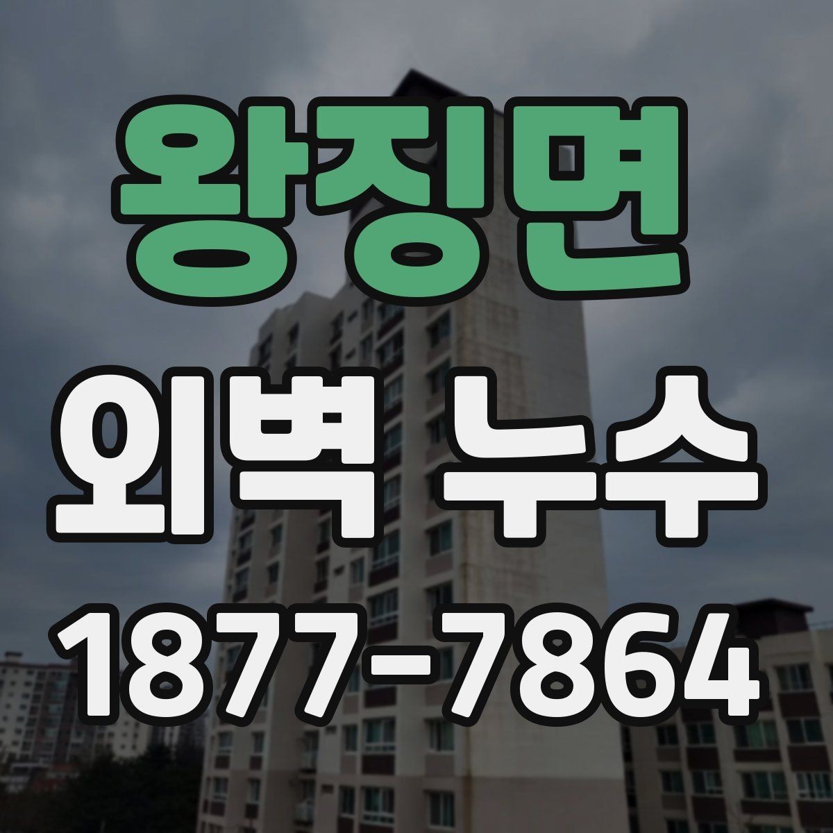 왕징면 외벽 누수 보수 전 업체 상담 포인트