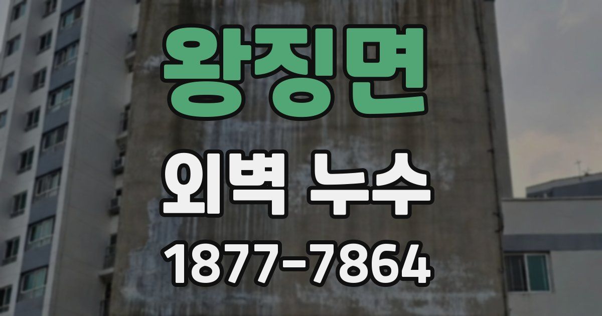 왕징면 외벽 누수