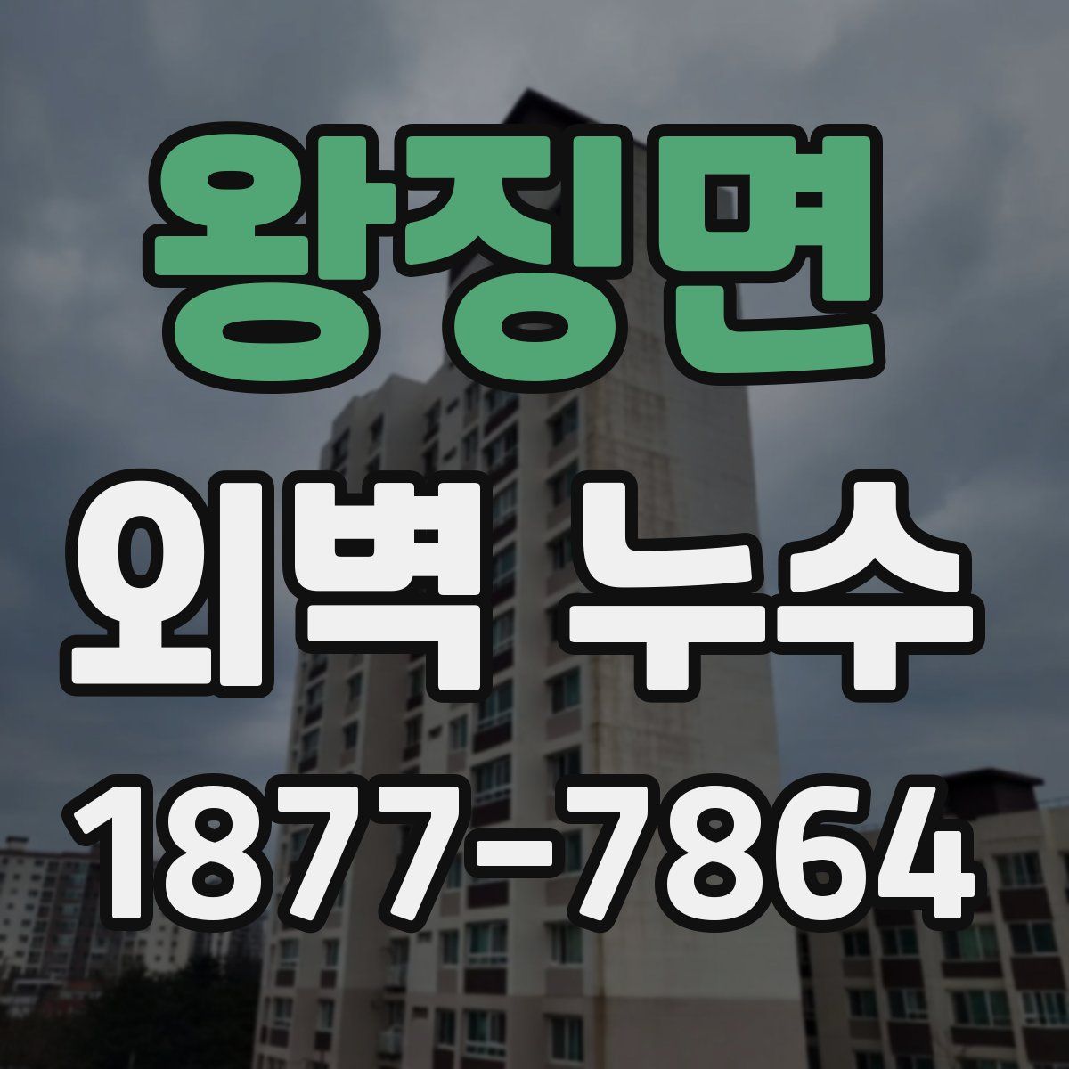 왕징면 외벽 누수