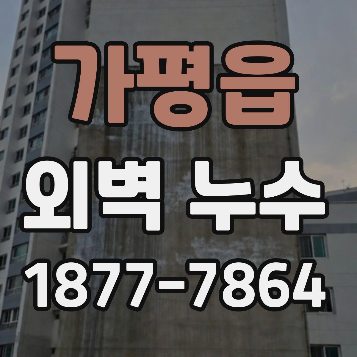 가평읍 외벽 누수