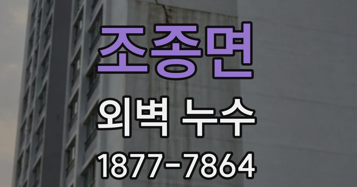 조종면 외벽 누수