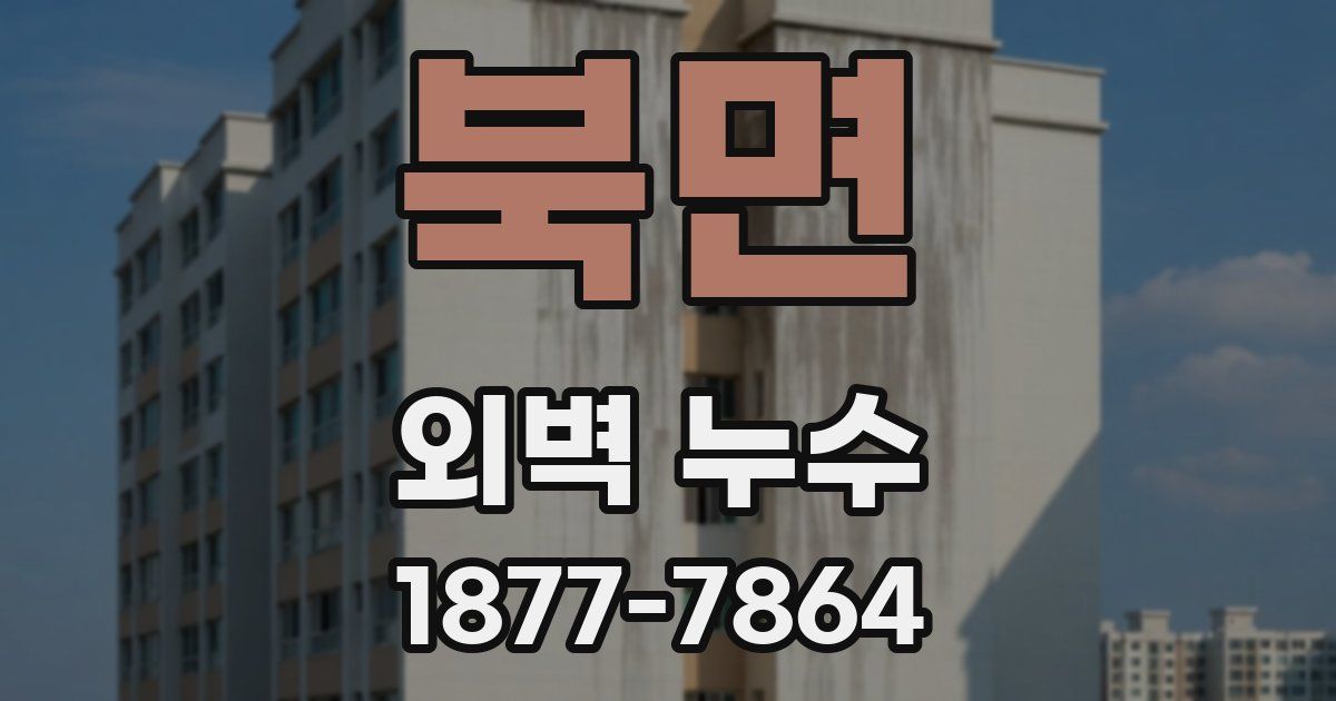 북면 외벽 누수
