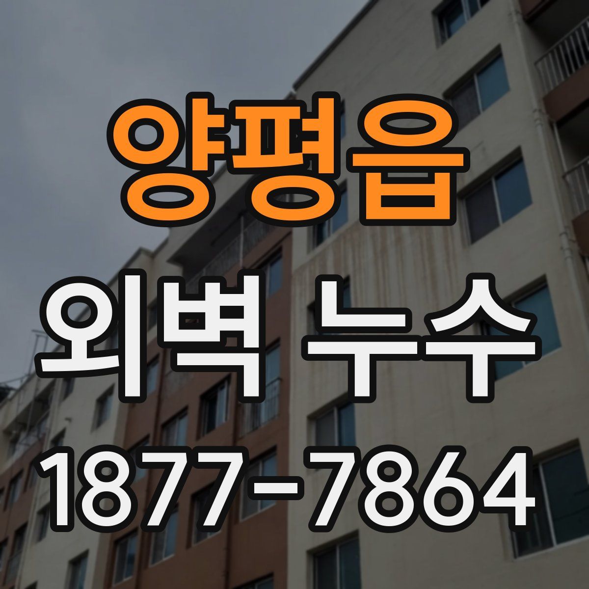 양평읍 외벽 누수