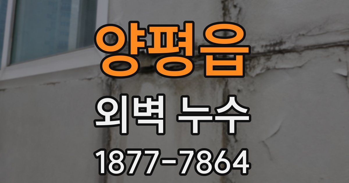 양평읍 외벽 누수