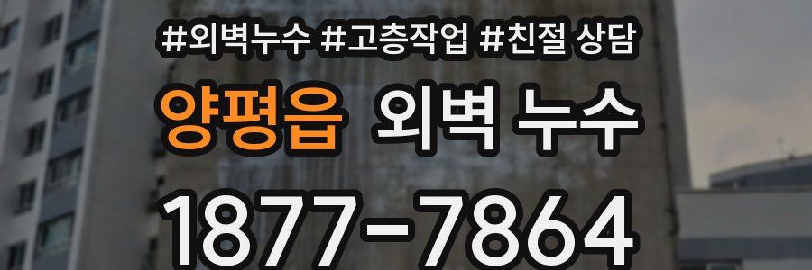 양평읍 외벽 누수