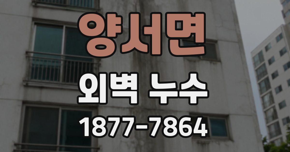 양서면 외벽 누수