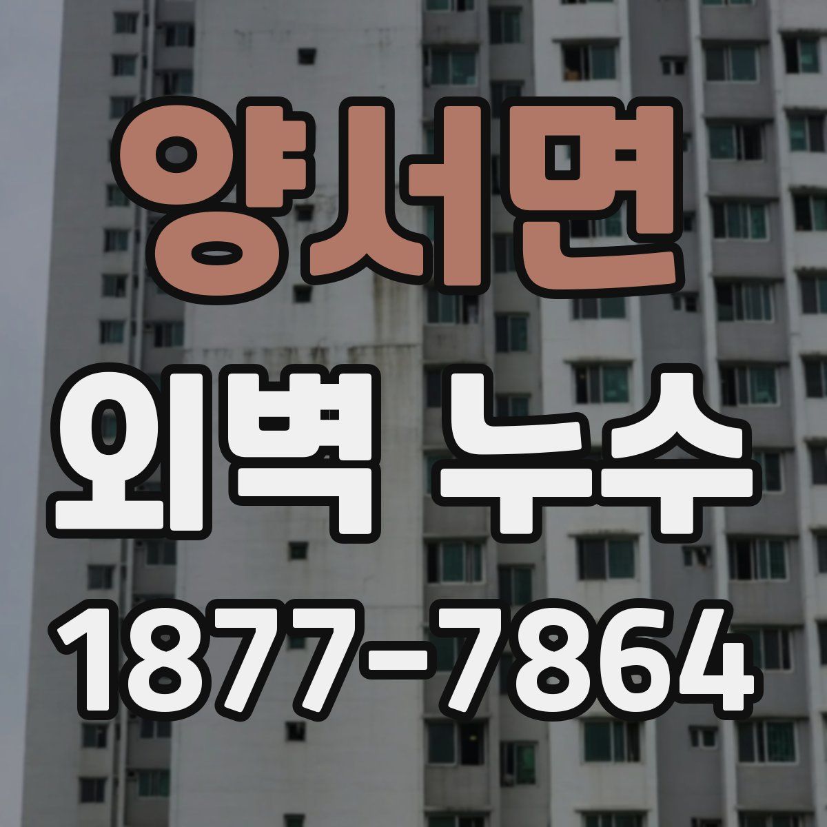 양서면 외벽 누수