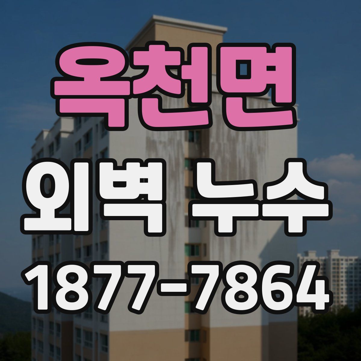 옥천면 외벽 누수
