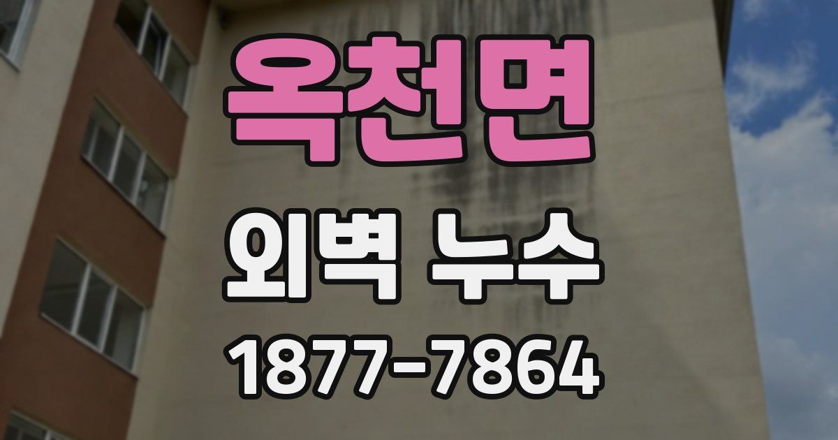 옥천면 외벽 누수