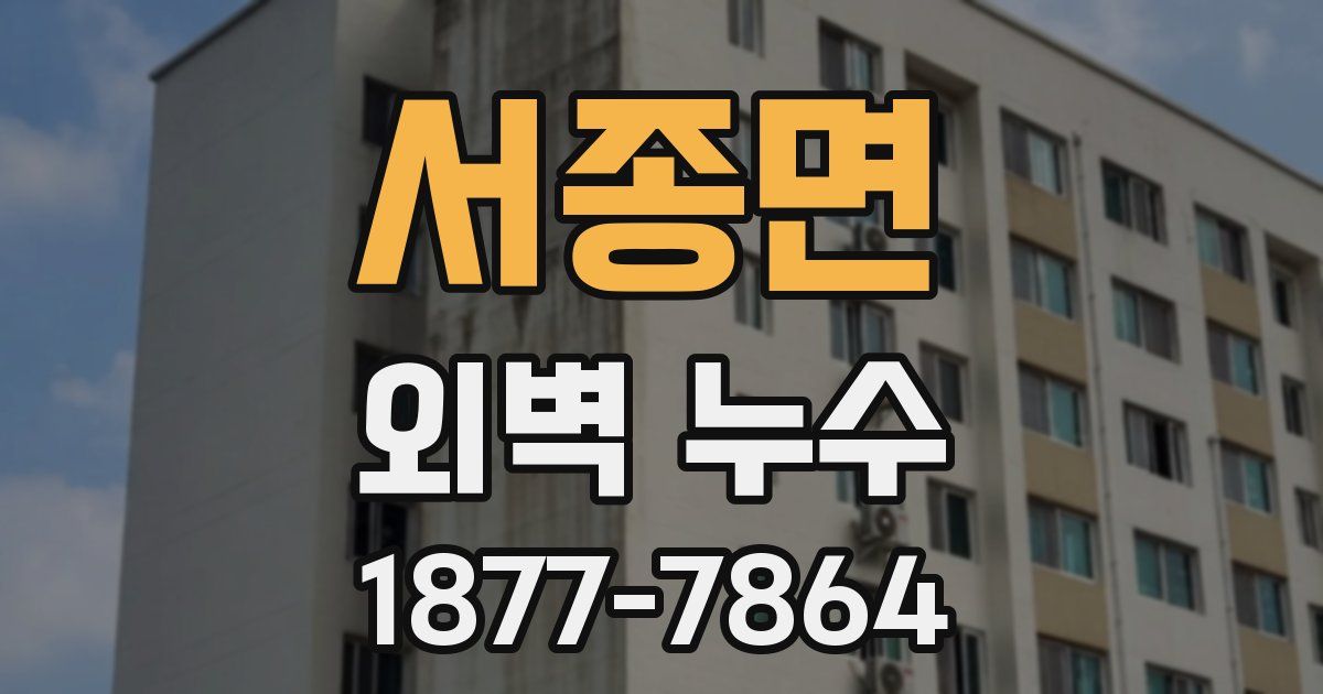 서종면 외벽 누수