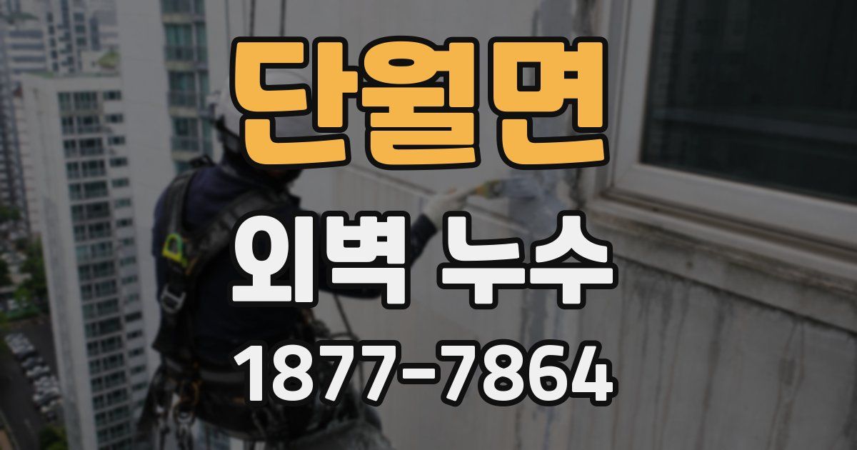 단월면 외벽 누수
