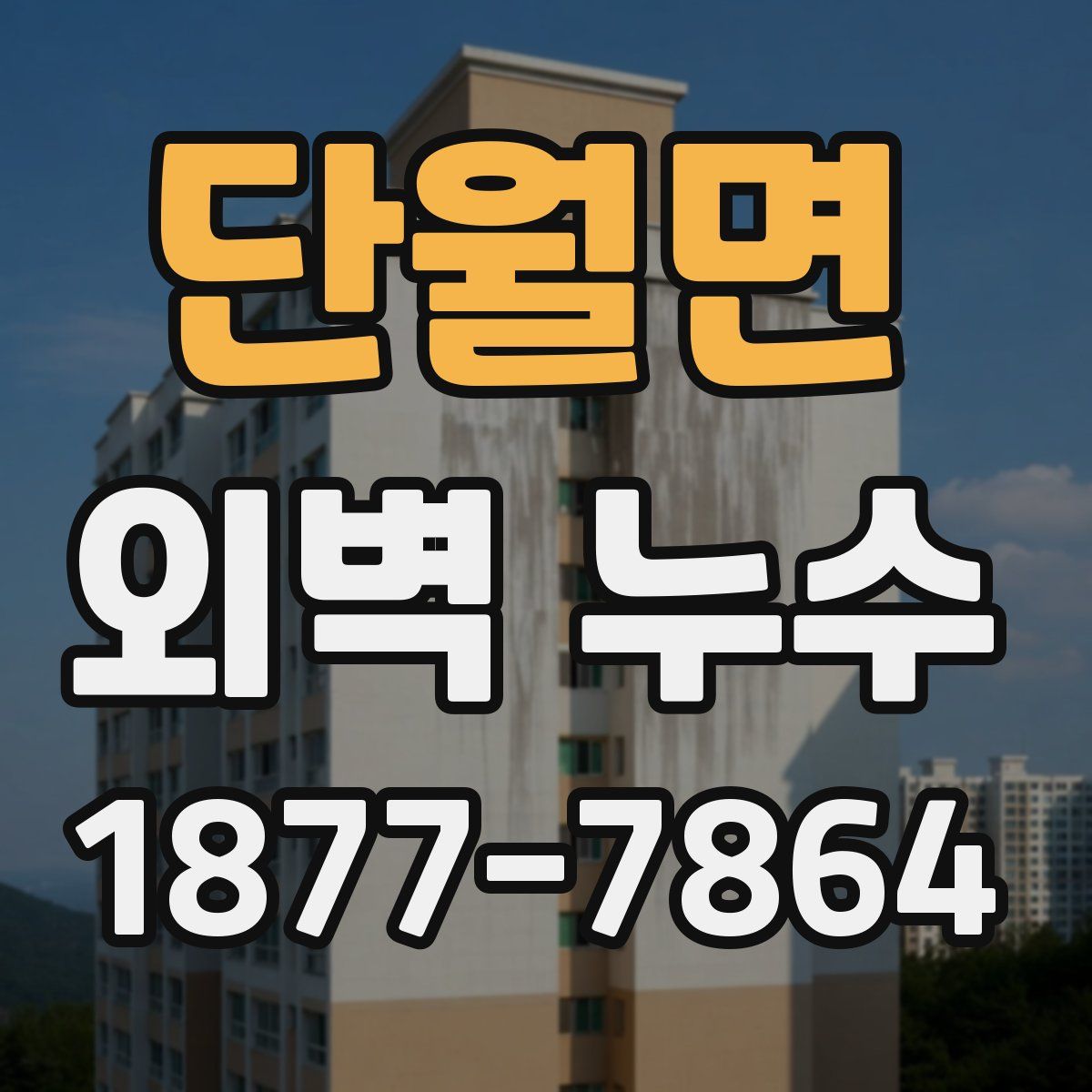 단월면 외벽 누수