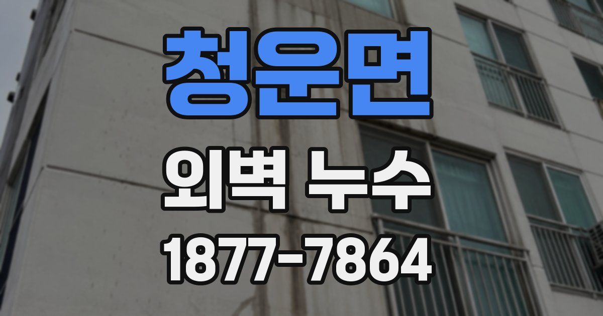 청운면 외벽 누수