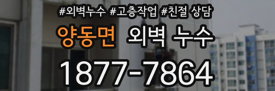 양동면 외벽 누수