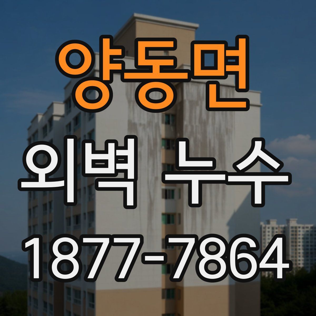 양동면 외벽 누수