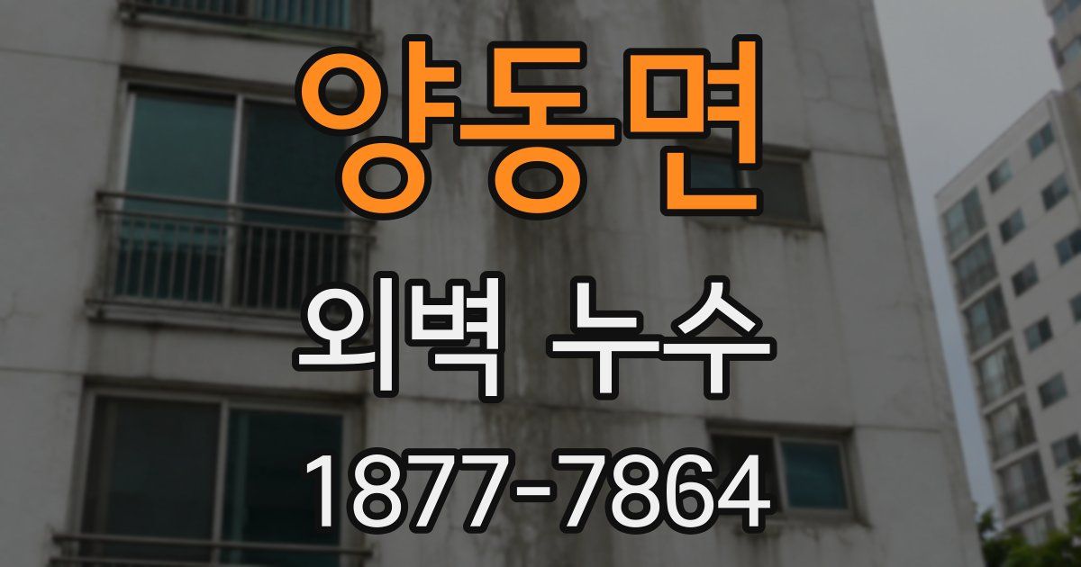 양동면 외벽 누수