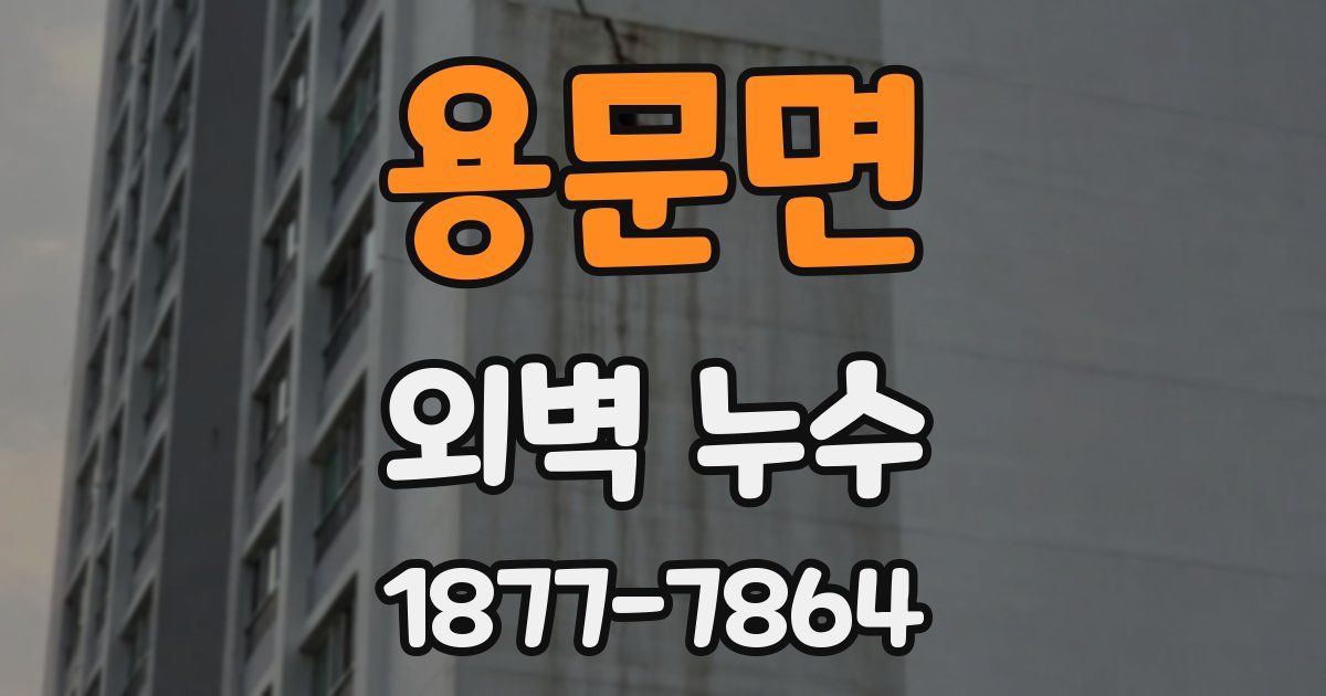 용문면 외벽 누수